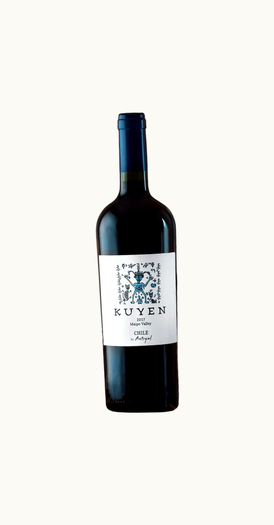 Antyal Antyal Carmenere Viñedo Escorial Maipo Valley Chile, 2019
