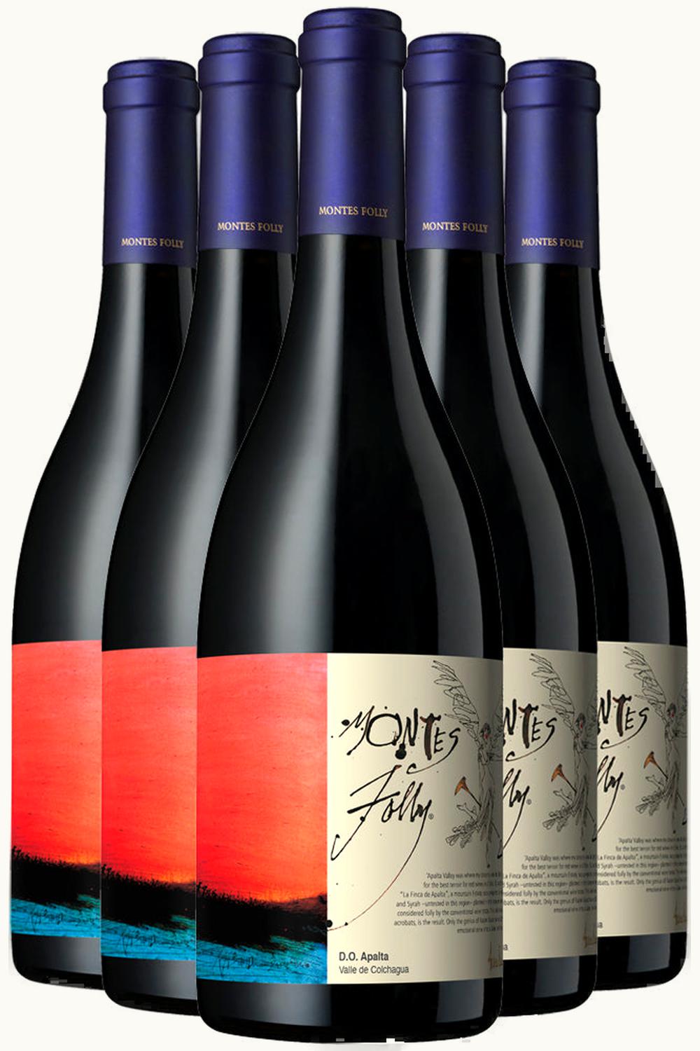 Montes Montes Folly Syrah Apalta Colchagua Valley Chile, 2018