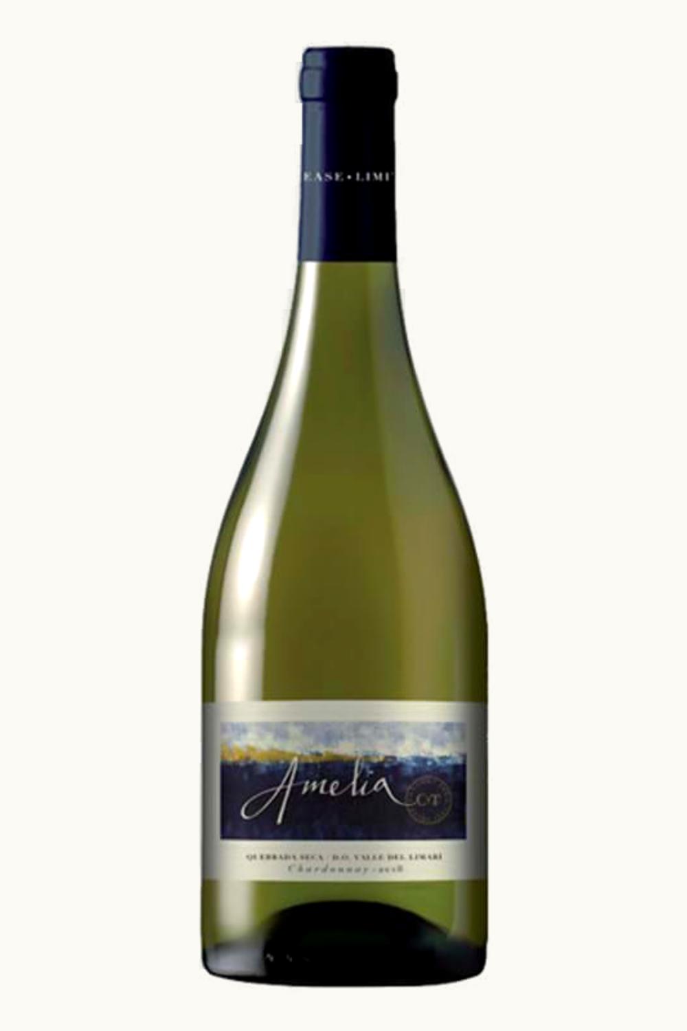 Concha y Toro Concha y Toro Amelia Chardonnay Limari Valley Chile, 2018
