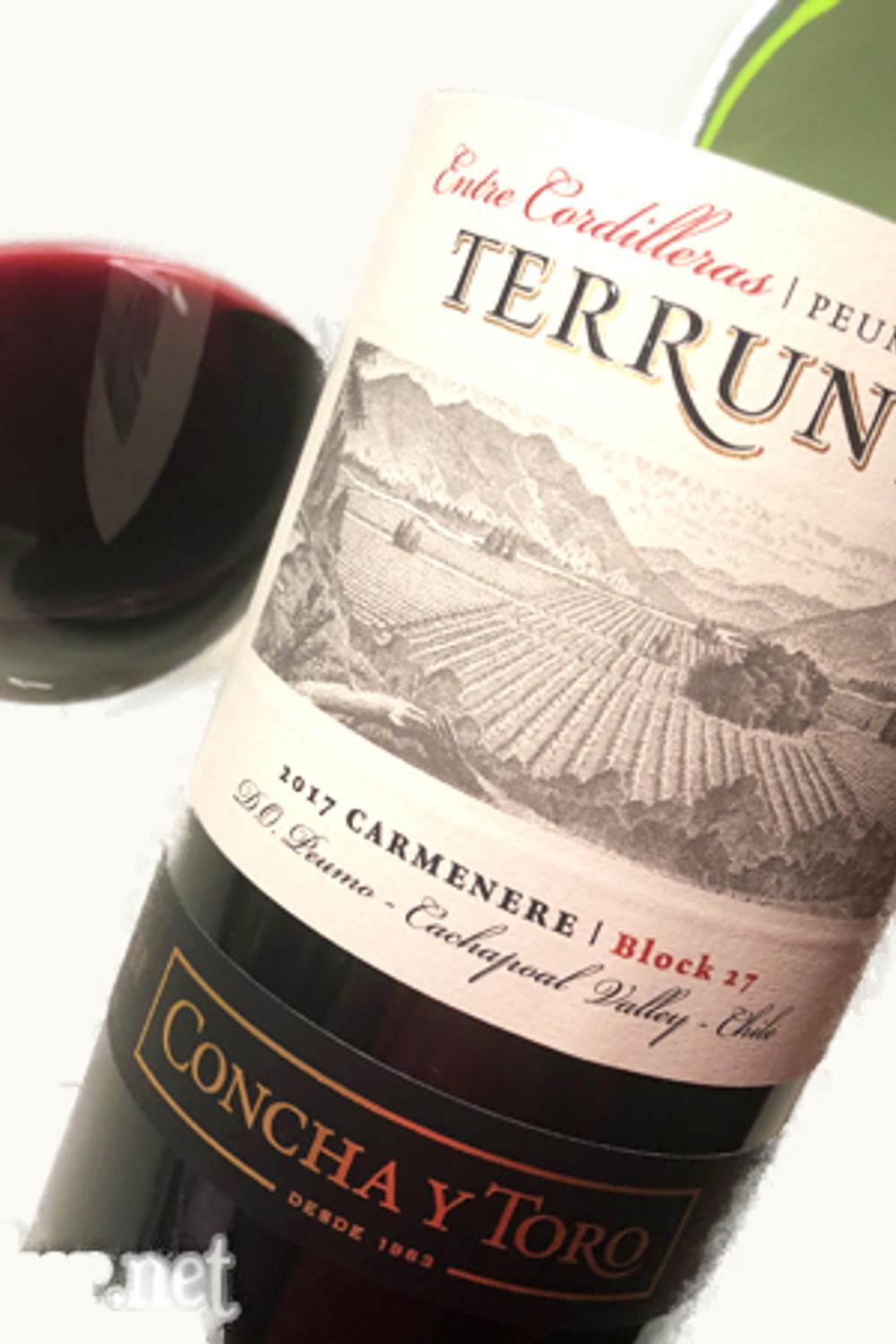 Concha y Toro Concha y Toro Terrunyo Block 27 Carmenere Peumo Cachapoal Valley Chile, 2017