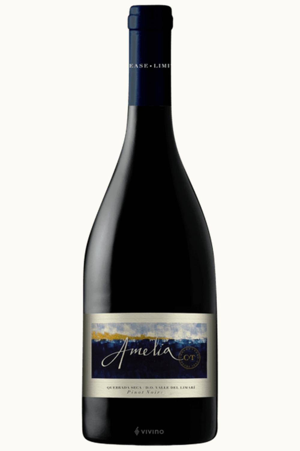 Concha y Toro Concha y Toro Amelia Pinot Noir Limari Valley Chile, 2017