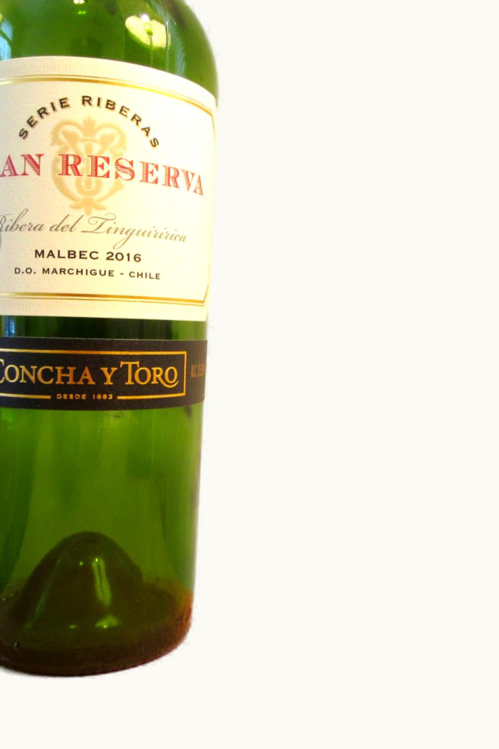 Concha y Toro Concha y Toro Grand Reserve Serie Riberas Carmenere Peumo Cachapoal Valley Chile, 2016