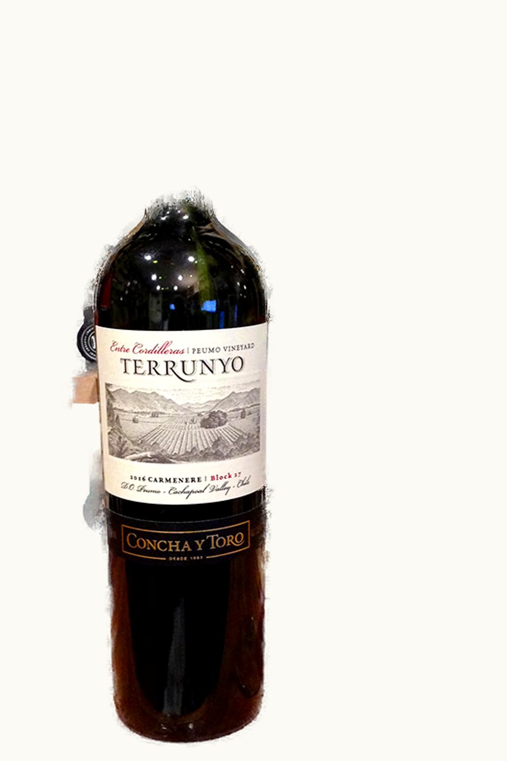 Concha y Toro Concha y Toro Terrunyo Block 27 Carmenere Peumo Cachapoal Valley Chile, 2015