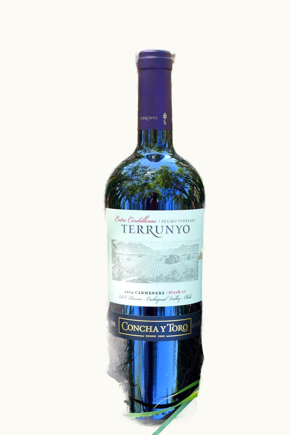 Concha y Toro Concha y Toro Terrunyo Block 27 Carmenere Peumo Cachapoal Valley Chile, 2014