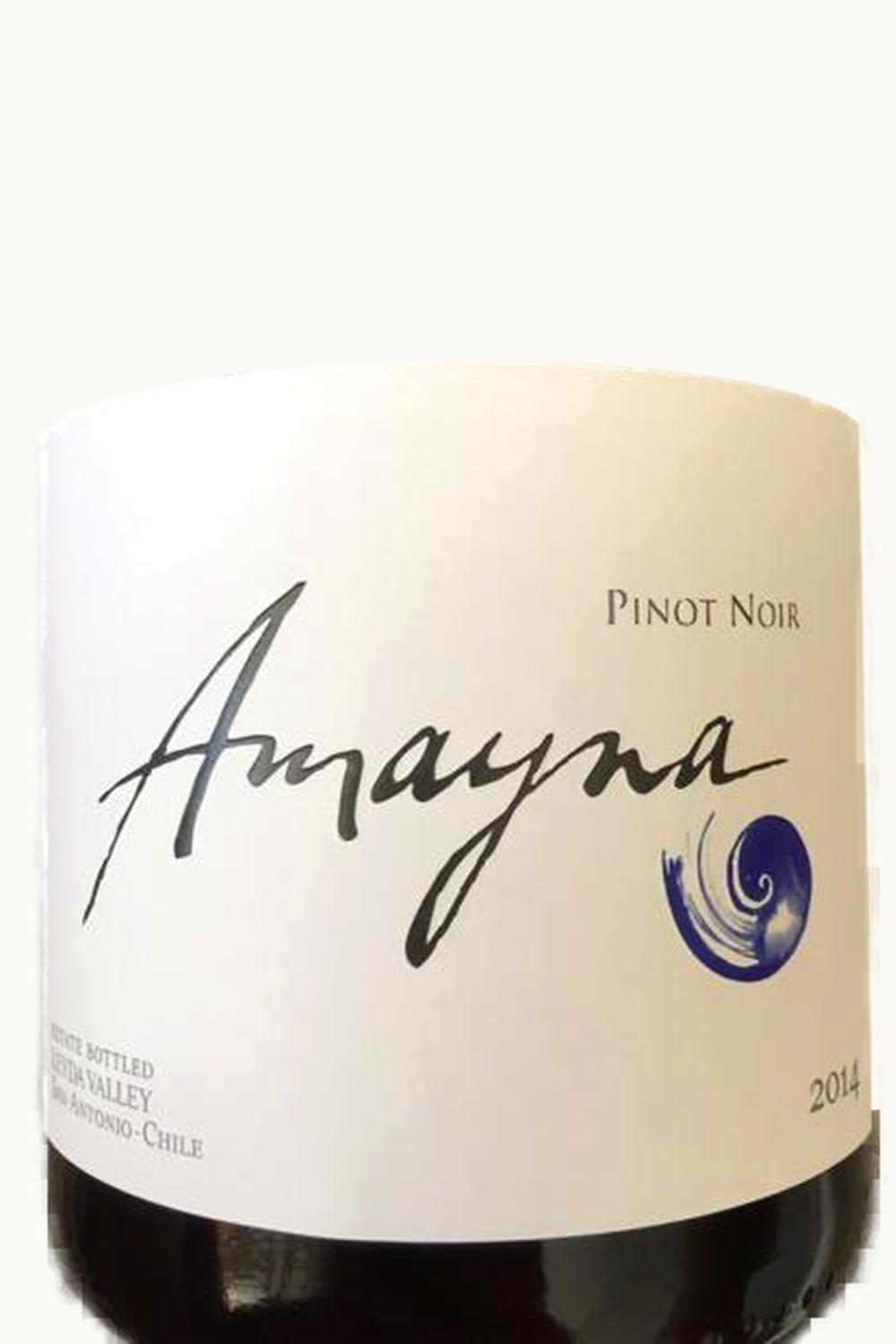 VIña Garcés Silva Viña Garcés Silva Amayna Pinot Noir Leyda Valley Chile, 2014