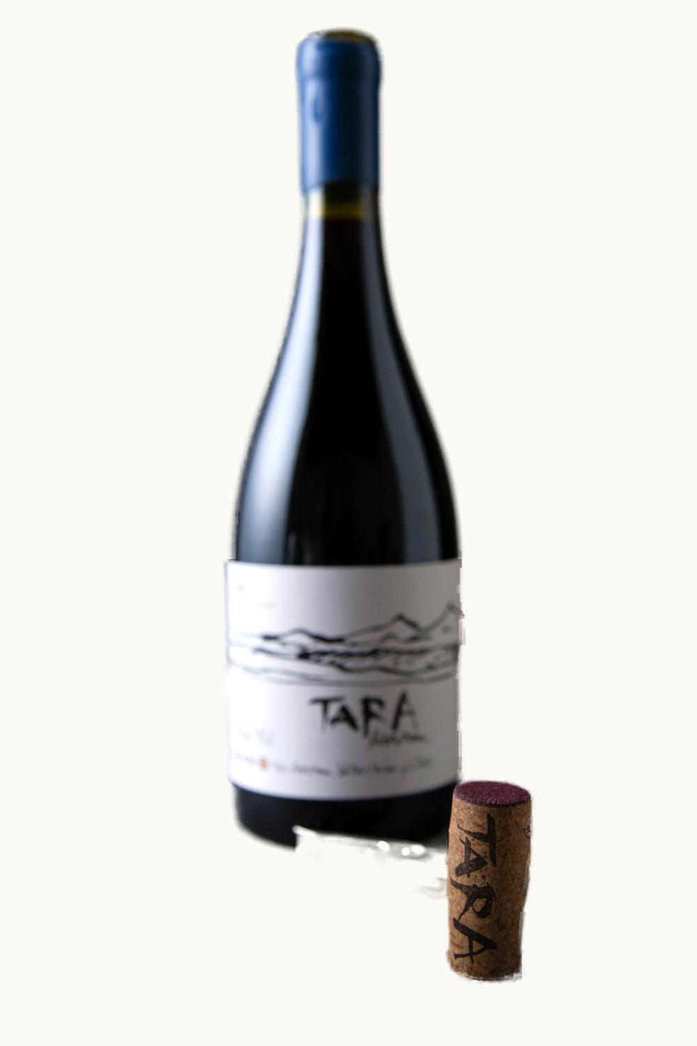 VIña Ventisquero Viña Ventisquero Tara Red Two Sauvignon Merlot Atacama Chile, 2014