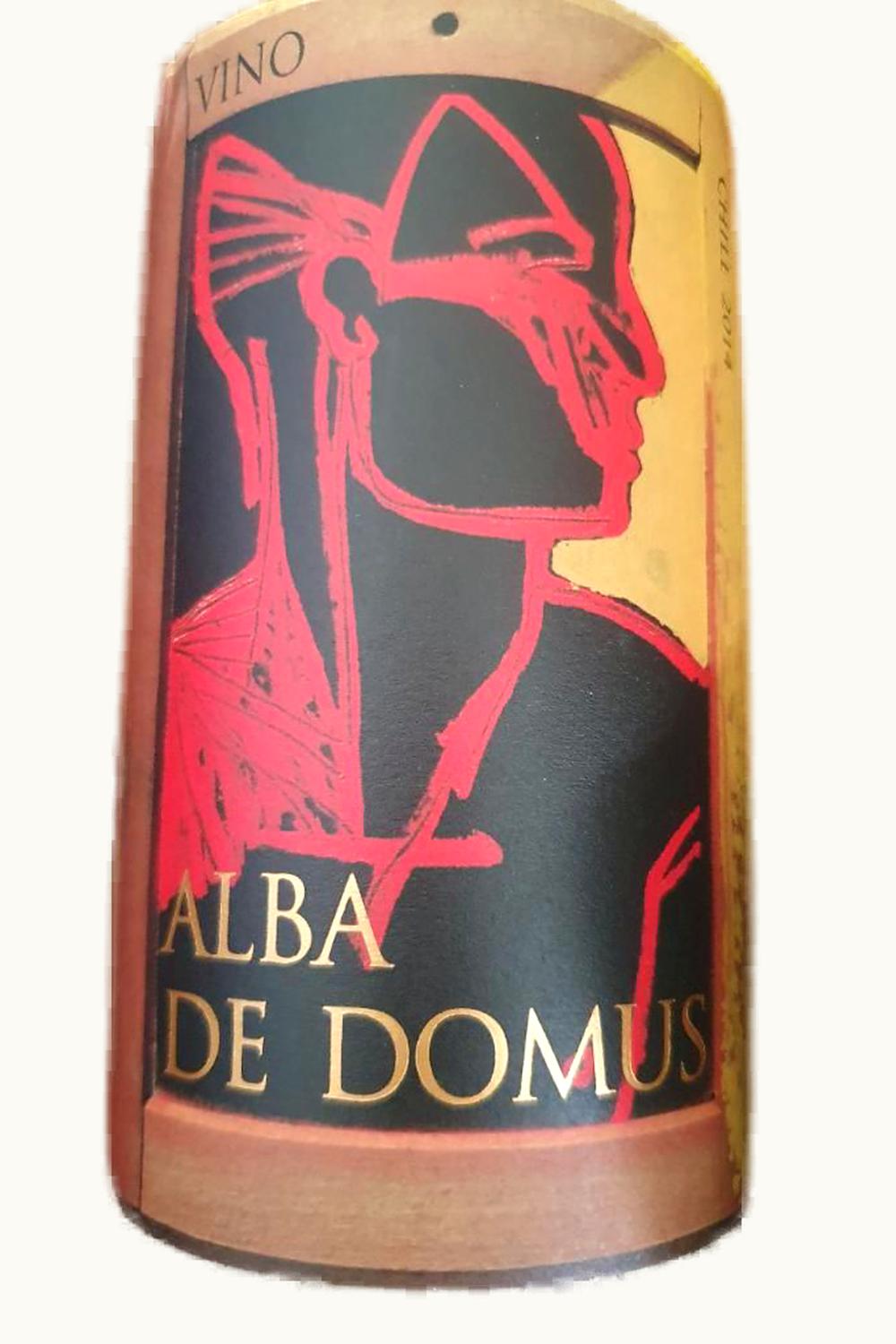 VIña Quebrada de Macul Viña Quebrada de Macul Alba de Domus Maipo Valley Chile, 2013