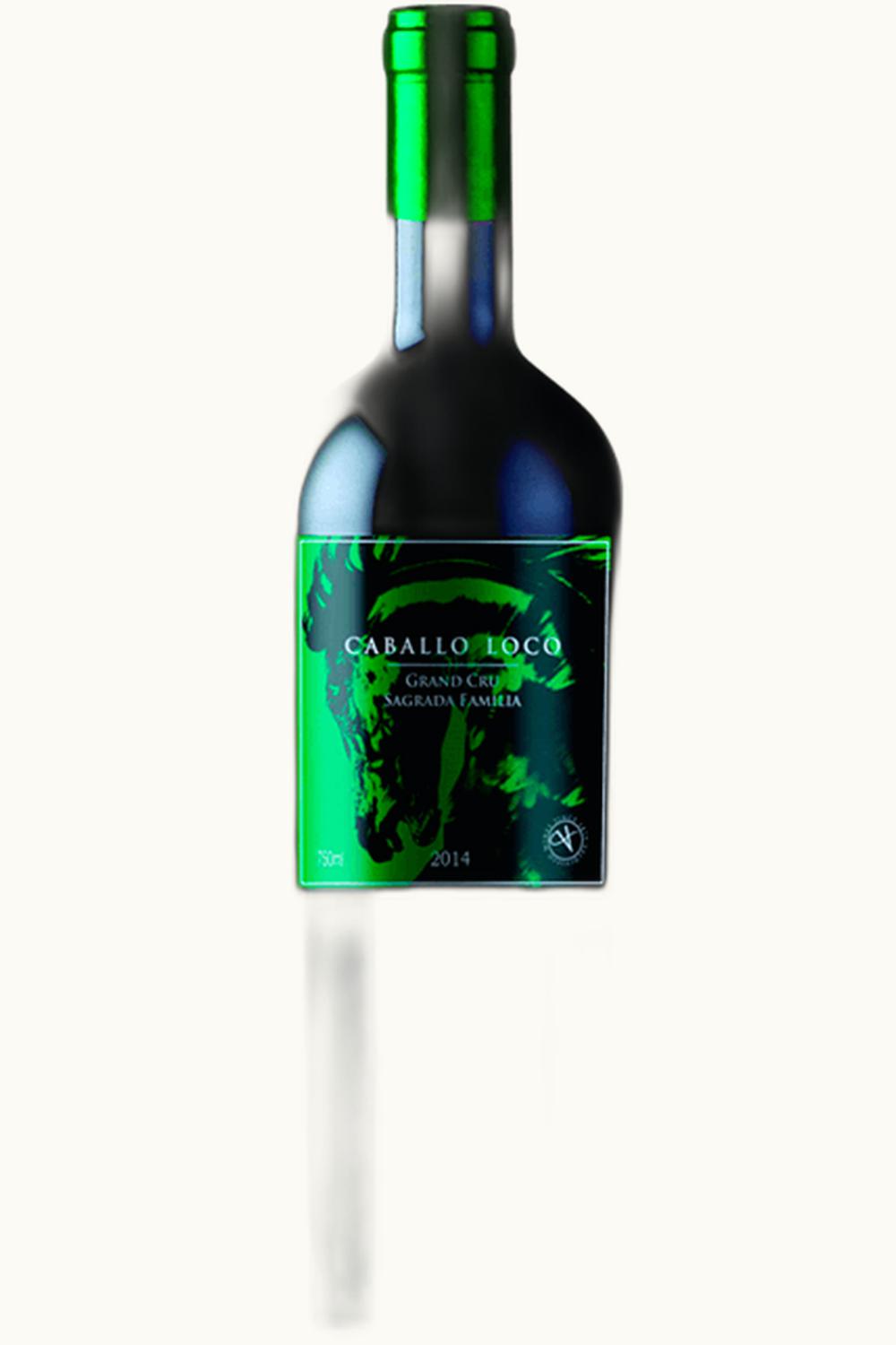 Caballo Loco Grand Cru Sagrado Familia Curico Valley Chile, 2013