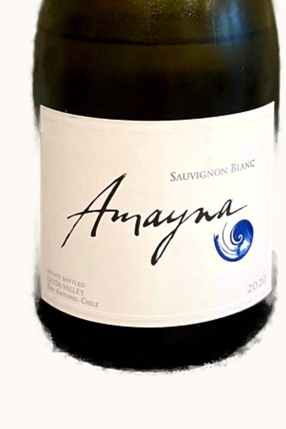 VIña Garcés Silva Viña Garcés Silva Amayna Pinot Noir Leyda Valley Chile, 2013