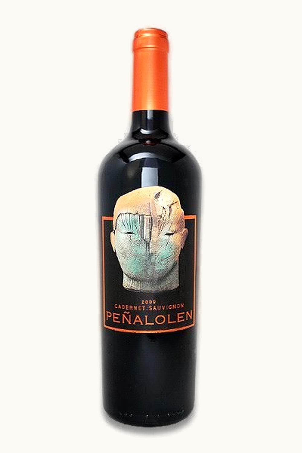 VIña Quebrada de Macul Viña Quebrada de Macul Peñalolén Cabernet Sauvignon Maipo Valley Chile, 2013