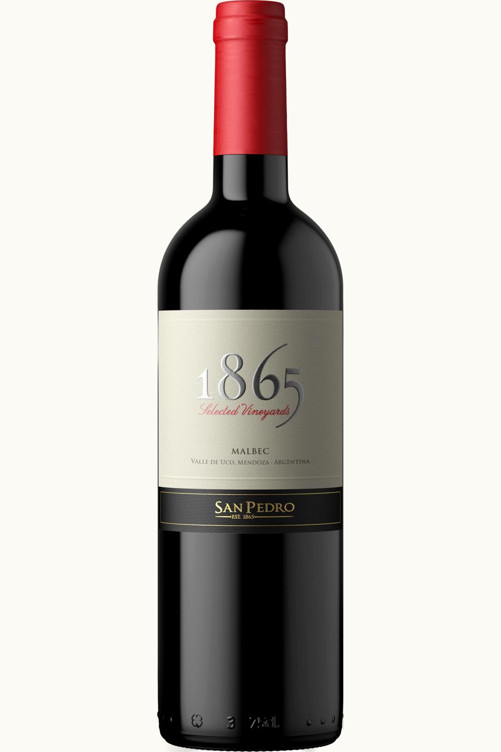 VIña San Pedro Viña San Pedro 1865 Single Vineyard Malbec Maule Valley Chile, 2013