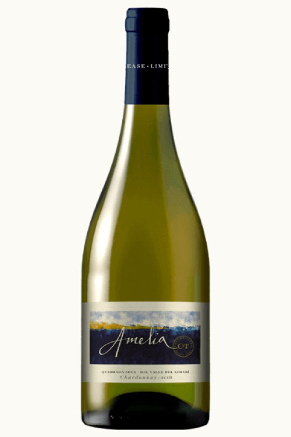 Concha y Toro Concha y Toro Amelia Chardonnay Limari Valley Chile, 2012