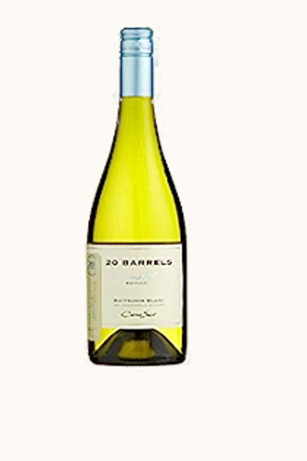 Cono Sur Twenty Barrel Limited Edition Syrah Limari Valley Chile, 2012