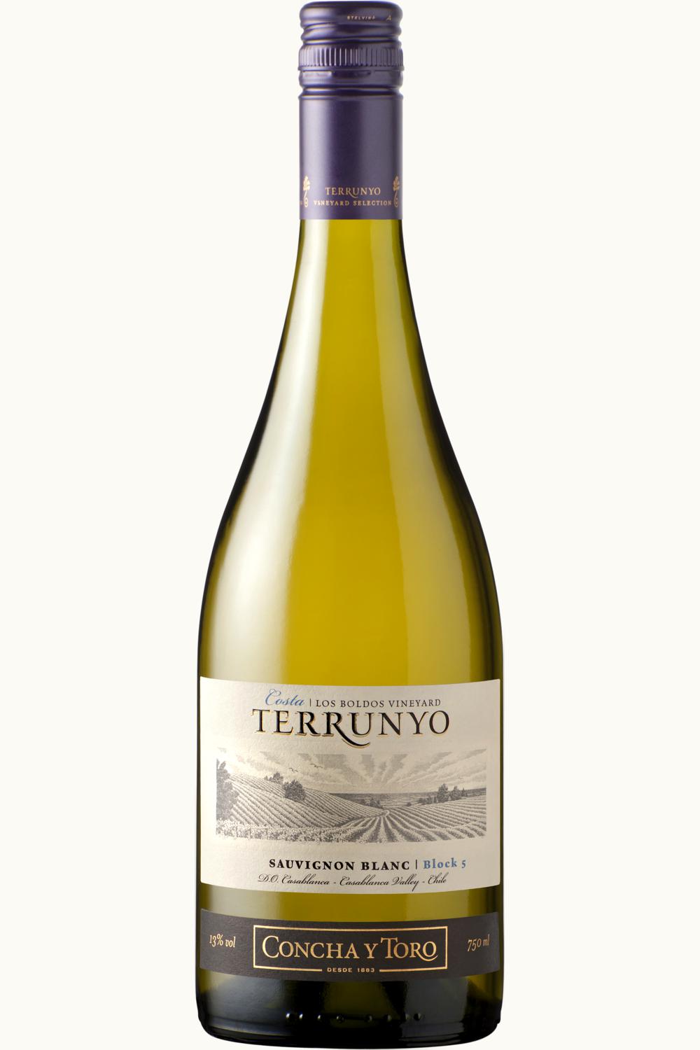 Concha y Toro Concha y Toro Terrunyo Sauvignon Blanc Casa Blanca Valley Chile, 2012