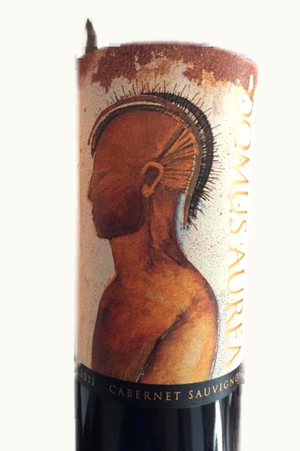 VIña Quebrada de Macul Viña Quebrada de Macul Domus Aurea Cabernet Sauvignon Maipo Valley Chile, 2011