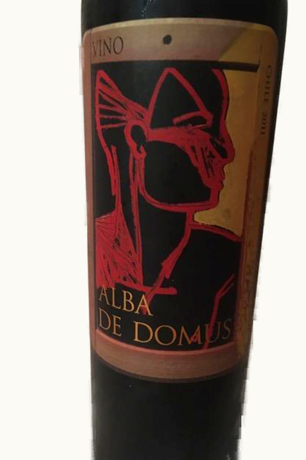 VIña Quebrada de Macul Viña Quebrada de Macul Alba de Domus Maipo Valley Chile, 2011