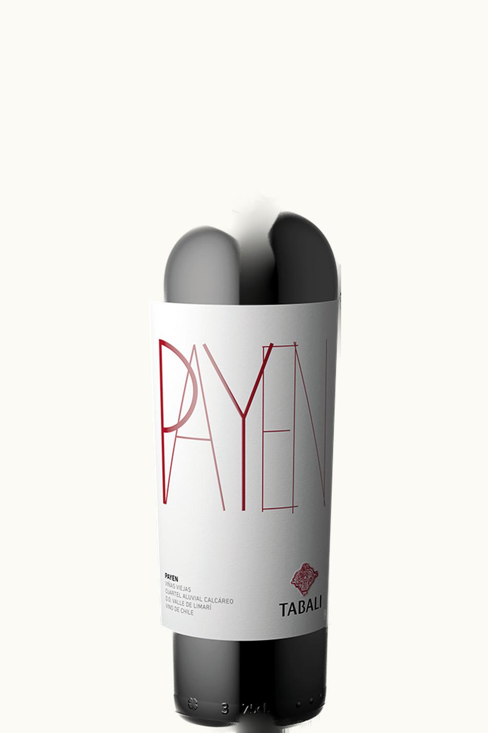 Tabalí Tabalí Payen Limari Valley Chile, 2011