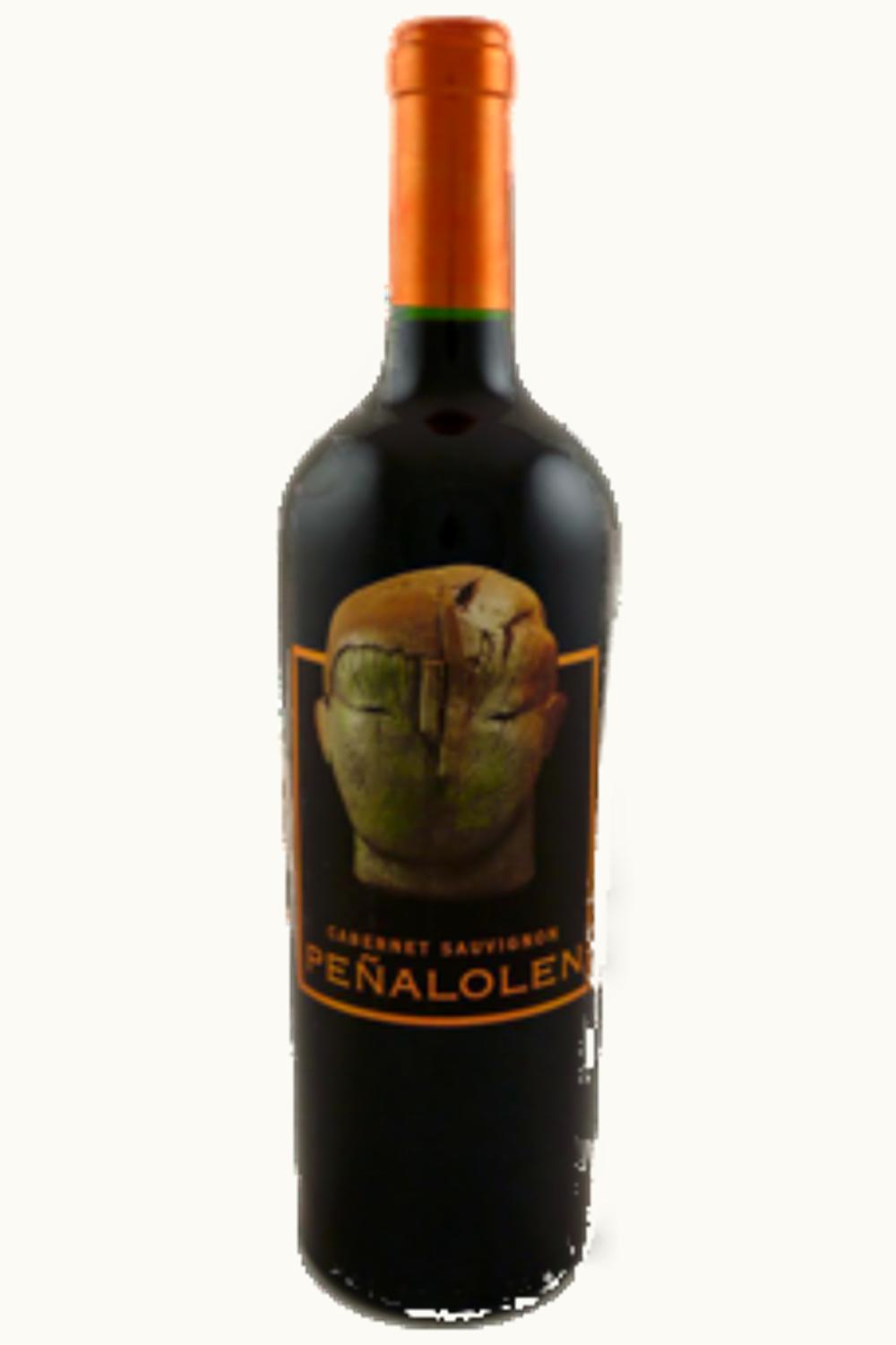 VIña Quebrada de Macul Viña Quebrada de Macul Peñalolen Cabernet Sauvignon Maipo Valley Chile, 2011