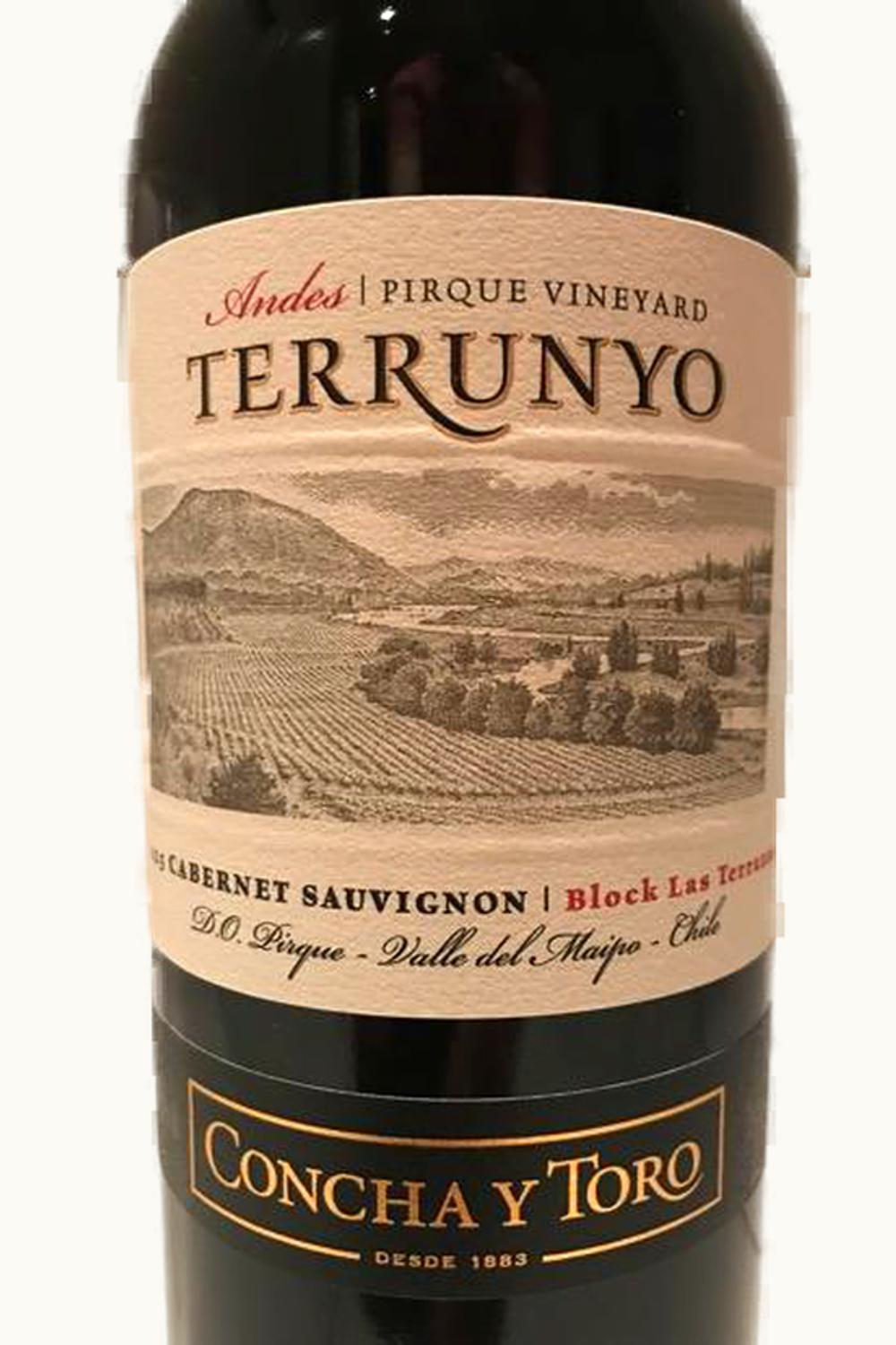 Concha y Toro Concha y Toro Terrunyo Block Terrazas Pirque Cabernet Sauvignon Maipo Valley Chile, 2010