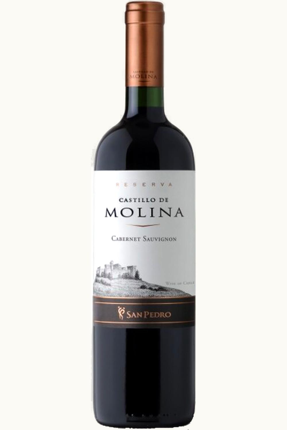 Castillo de Molina Reserva Cabernet Sauvignon Cachapoal Valley Chile, 2010