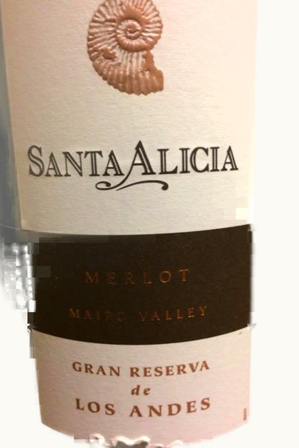 Santa Alicia Santa Alicia Grand Reserve de los Andes Merlot Maipo Valley Chile, 2010