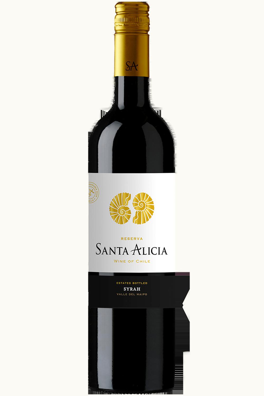 Santa Alicia Santa Alicia Reserve Espiritu de los Andes Malbec Maipo Valley Chile, 2010