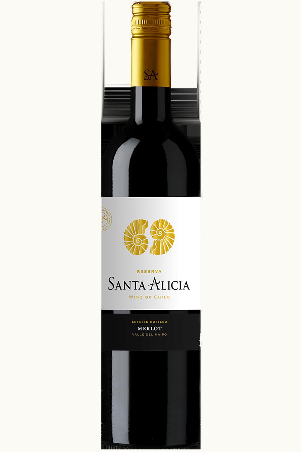Santa Alicia Santa Alicia Reserve Espiritu de los Andes Chardonnay Maipo Valley Chile, 2010