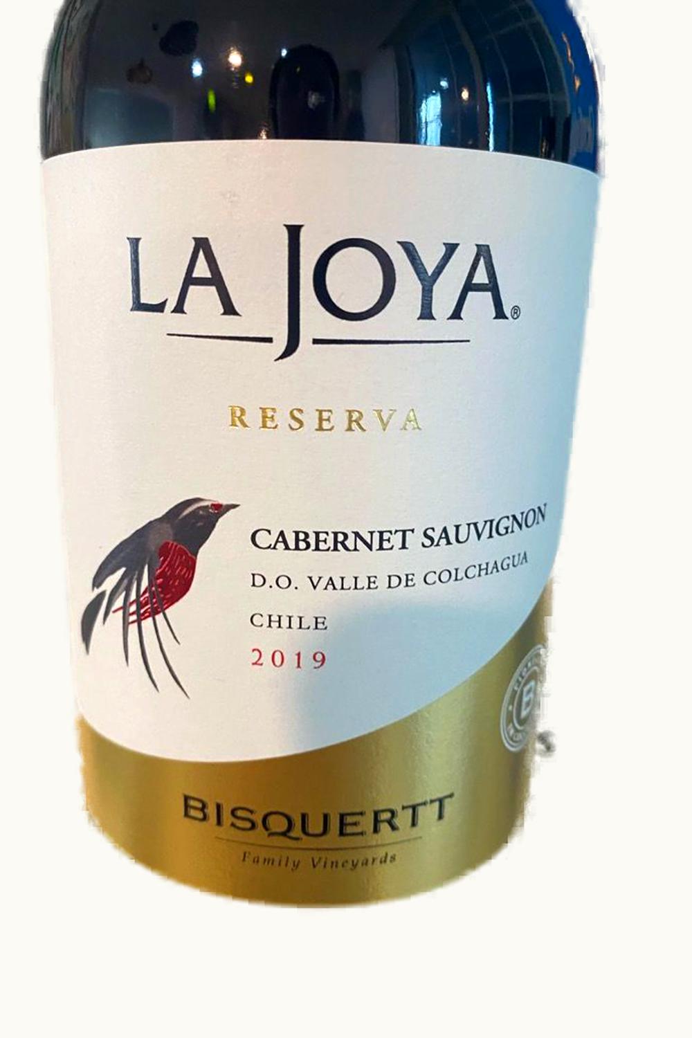 Bisquertt Casa La Joya Reserve Carmenere Colchagua Valley Chile, 2010
