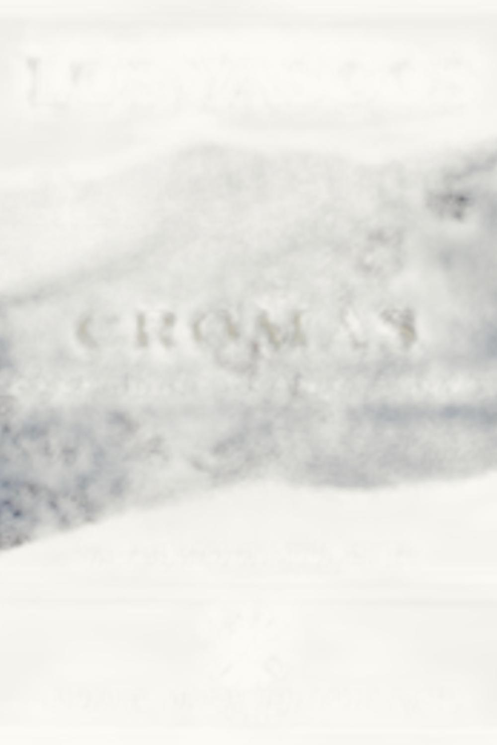 Los Vascos Cromas Grand Reserve Carmenere Colchagua Valley Chile, 2009