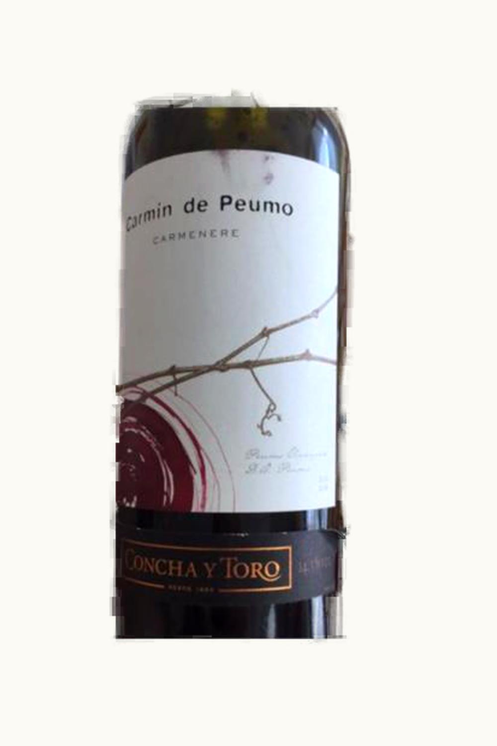 Concha y Toro Concha y Toro Carmin de Carmenere Peumo Cachapoal Valley Chile, 2009