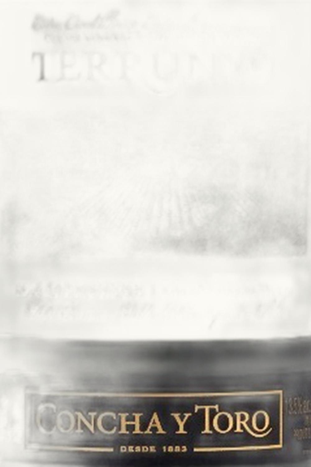 Concha y Toro Terrunyo Block 27 Carmenere Peumo Cachapoal Valley Chile, 2009