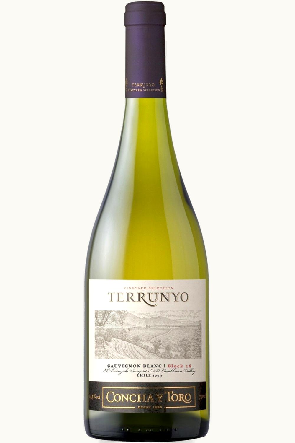 Concha y Toro Terrunyo Sauvignon Blanc Casa Blanca Valley Chile, 2009