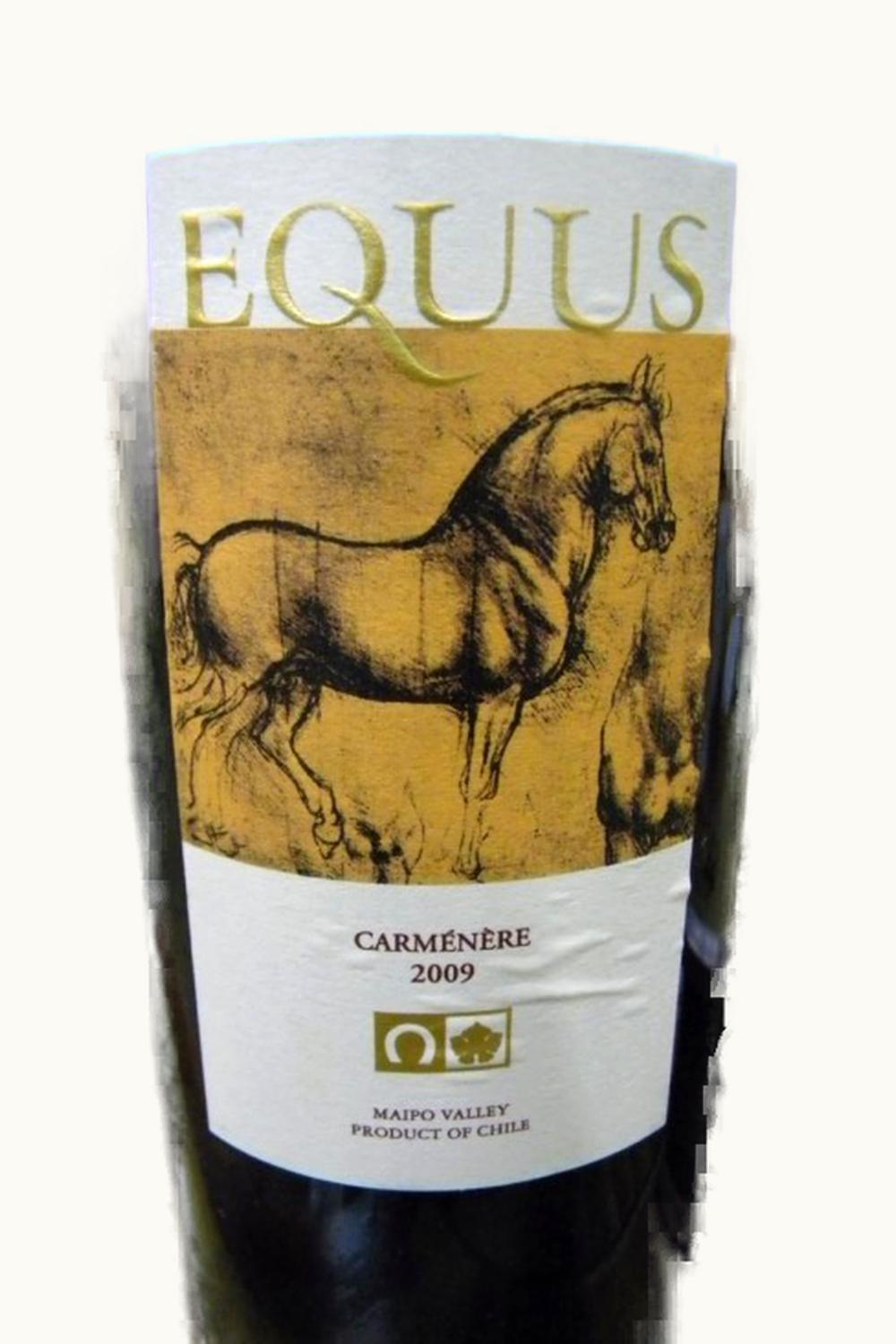 VIña Haras de Pirque Viña Haras de Pirque Equus Carmenere Maipo Valley Chile, 2009