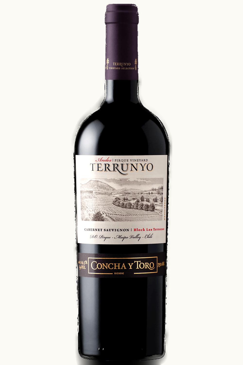 Concha y Toro Terrunyo Block 34 Rucahue Special Reserve Cachapoal Valley Chile, 2007