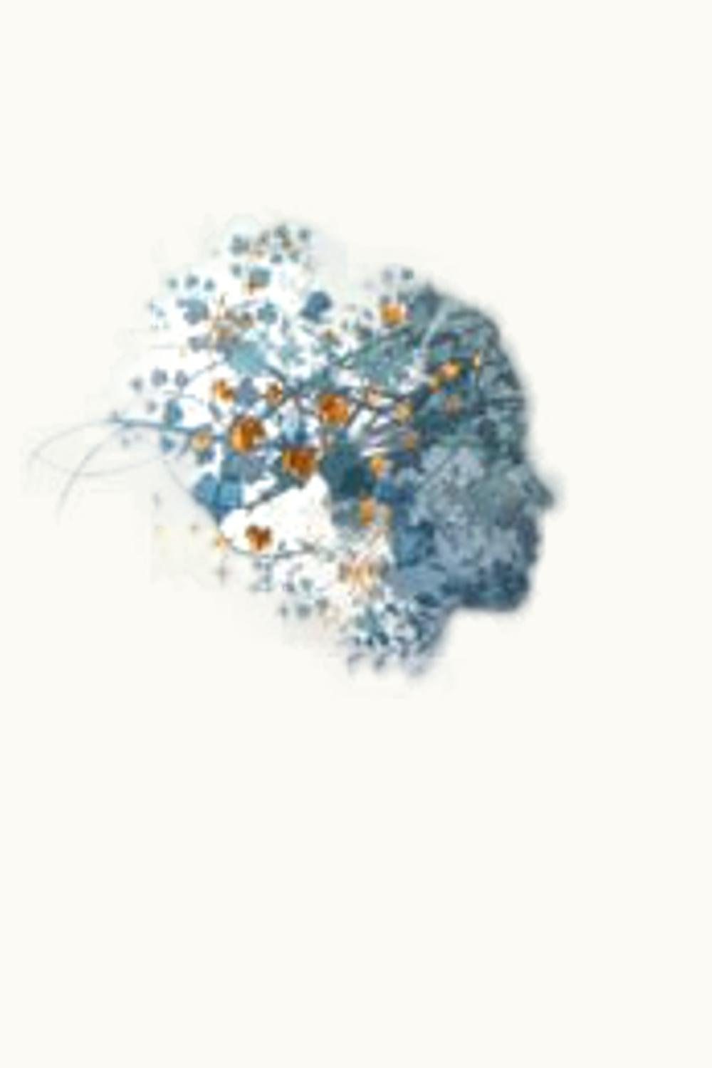 Santa Carolina Reserva Pinot Noir Rosé, 2006