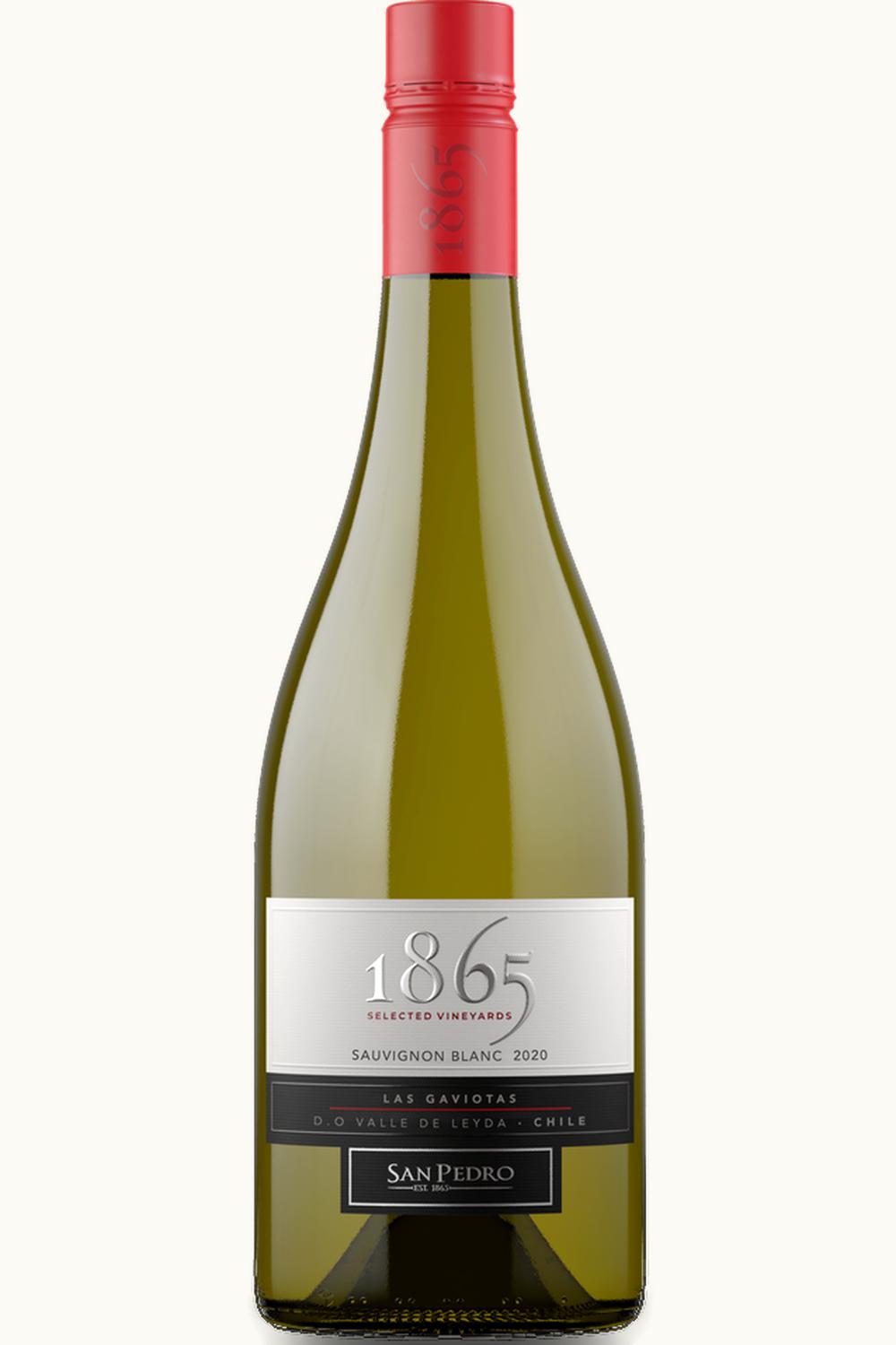 VIña San Pedro Viña San Pedro 1865 Single Vineyard Select Sauvignon Blanc, 2005