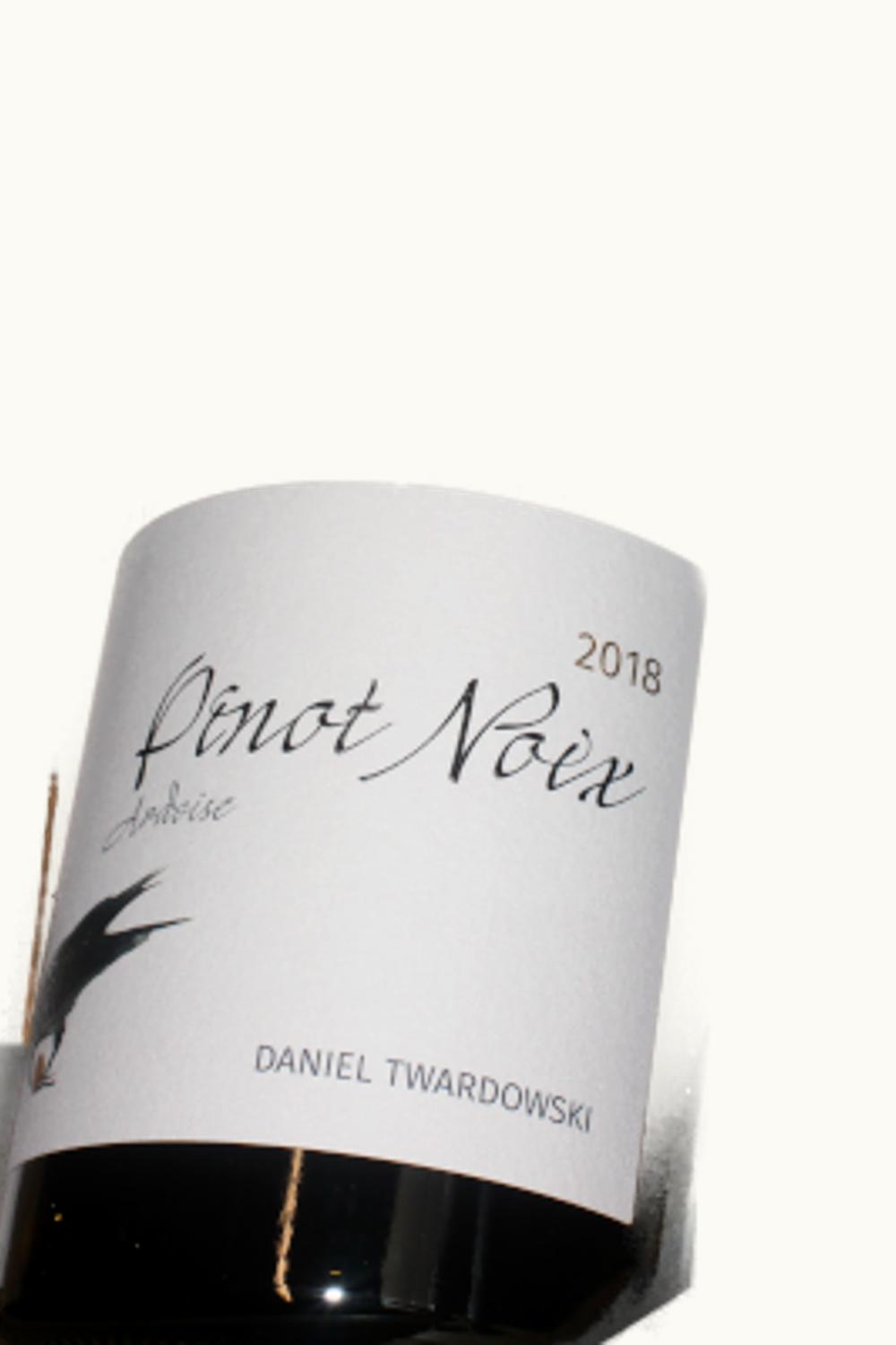 Daniel Twardowski Daniel Twardowski Ardoise Pinot Noix, 2019