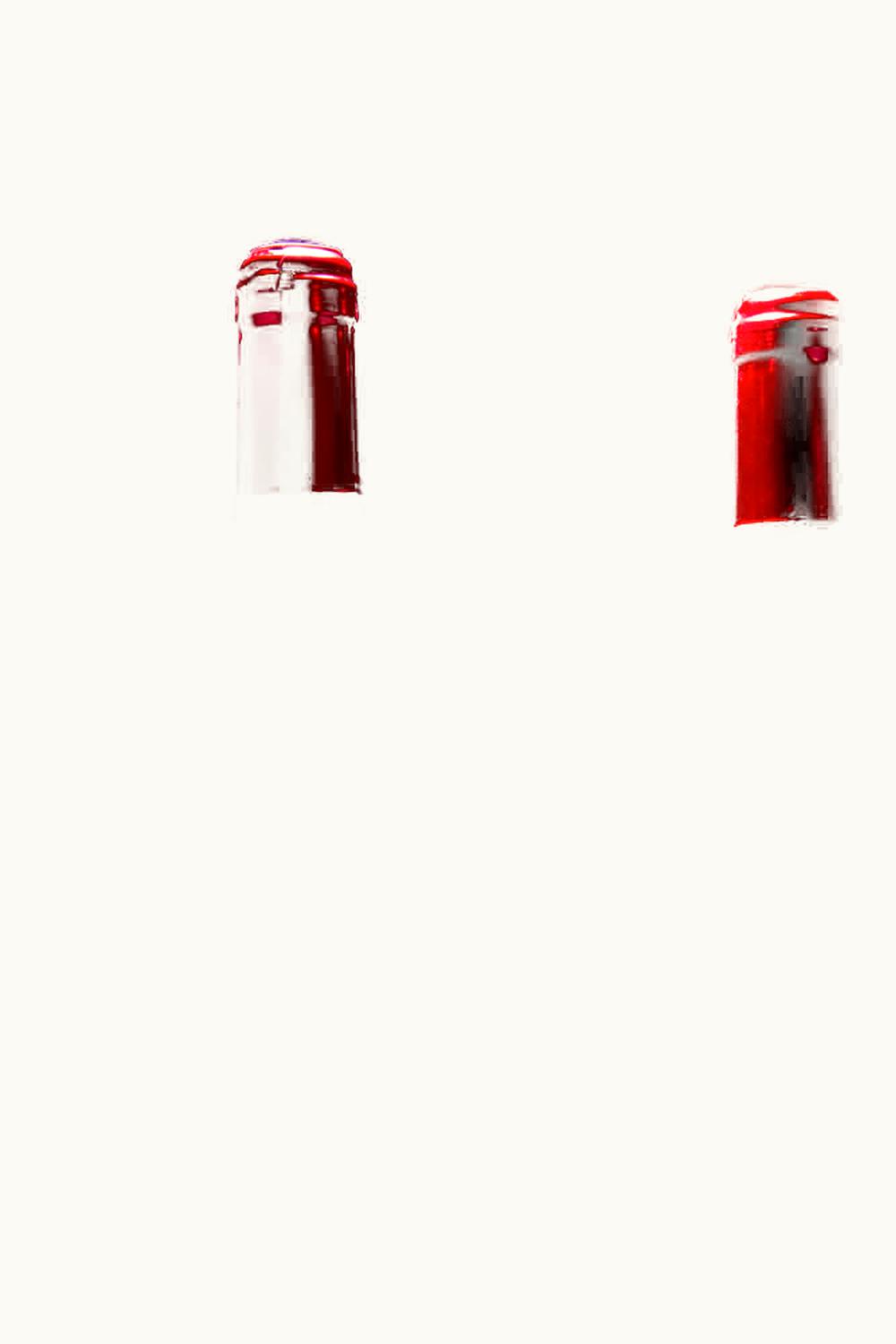 Reichsrat von Buhl Reichsrat von Buhl Forster Jesuitengarten Riesling Spätlese, 2002