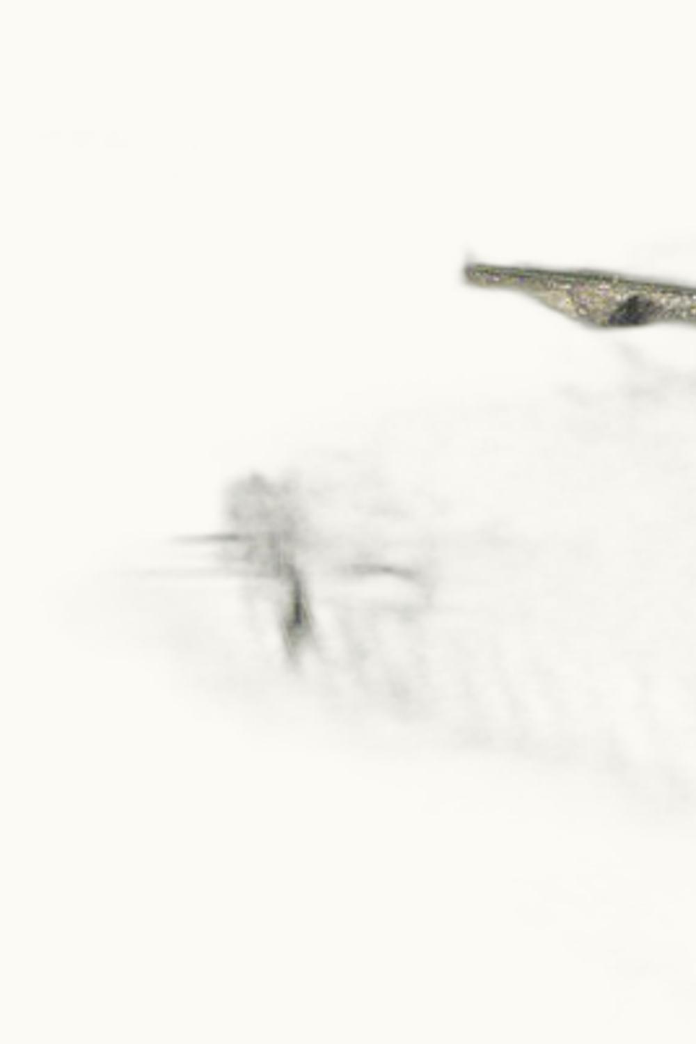 Prinz von Hessen Prinz von Hessen Winkel Hasensprung Riesling Eis, 1996