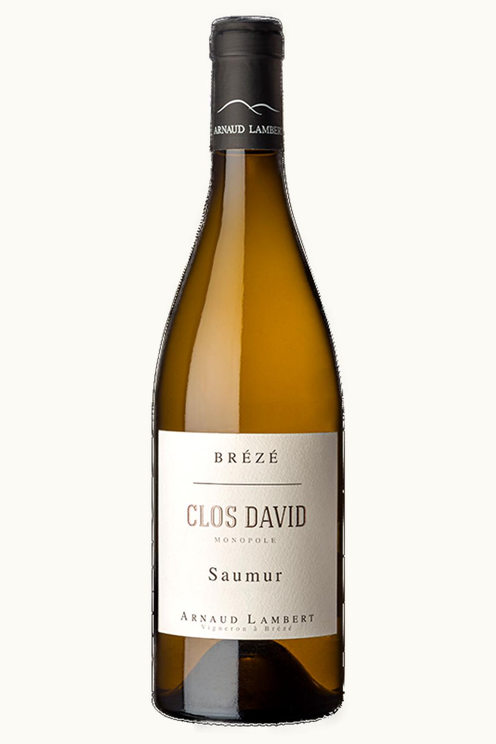 Arnaud Lambert Arnaud Lambert Brézé Clos David Saumur Blanc, 2021