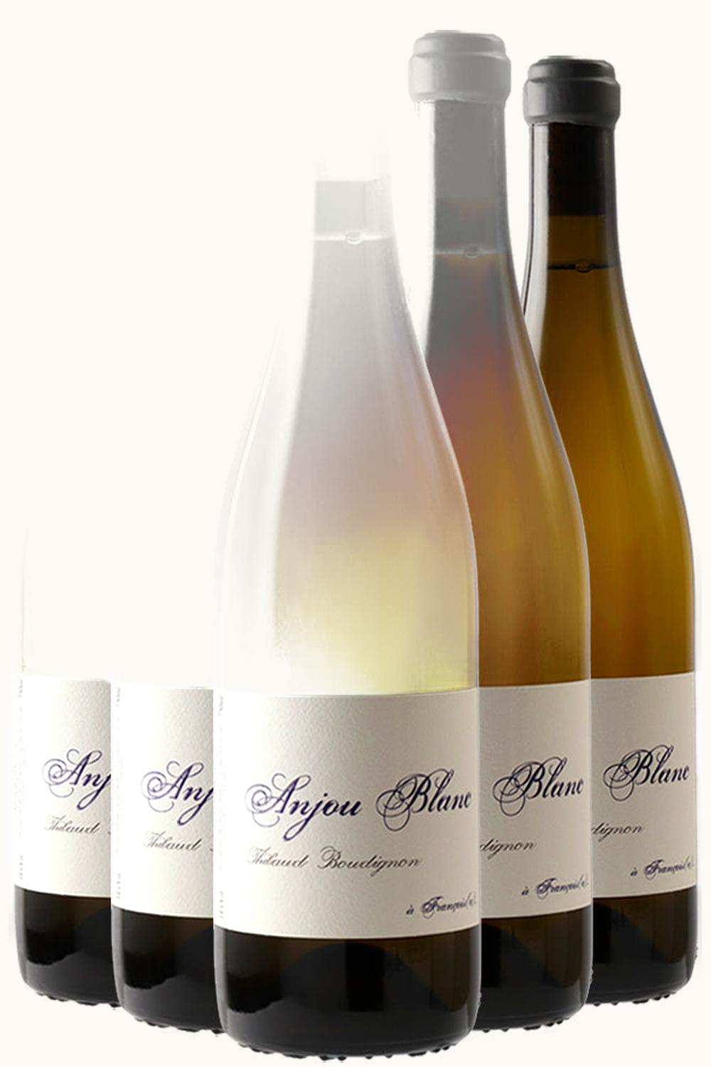 Thibaud Boudignon Thibaud Boudignon Blanc à Françoise Anjou, 2020