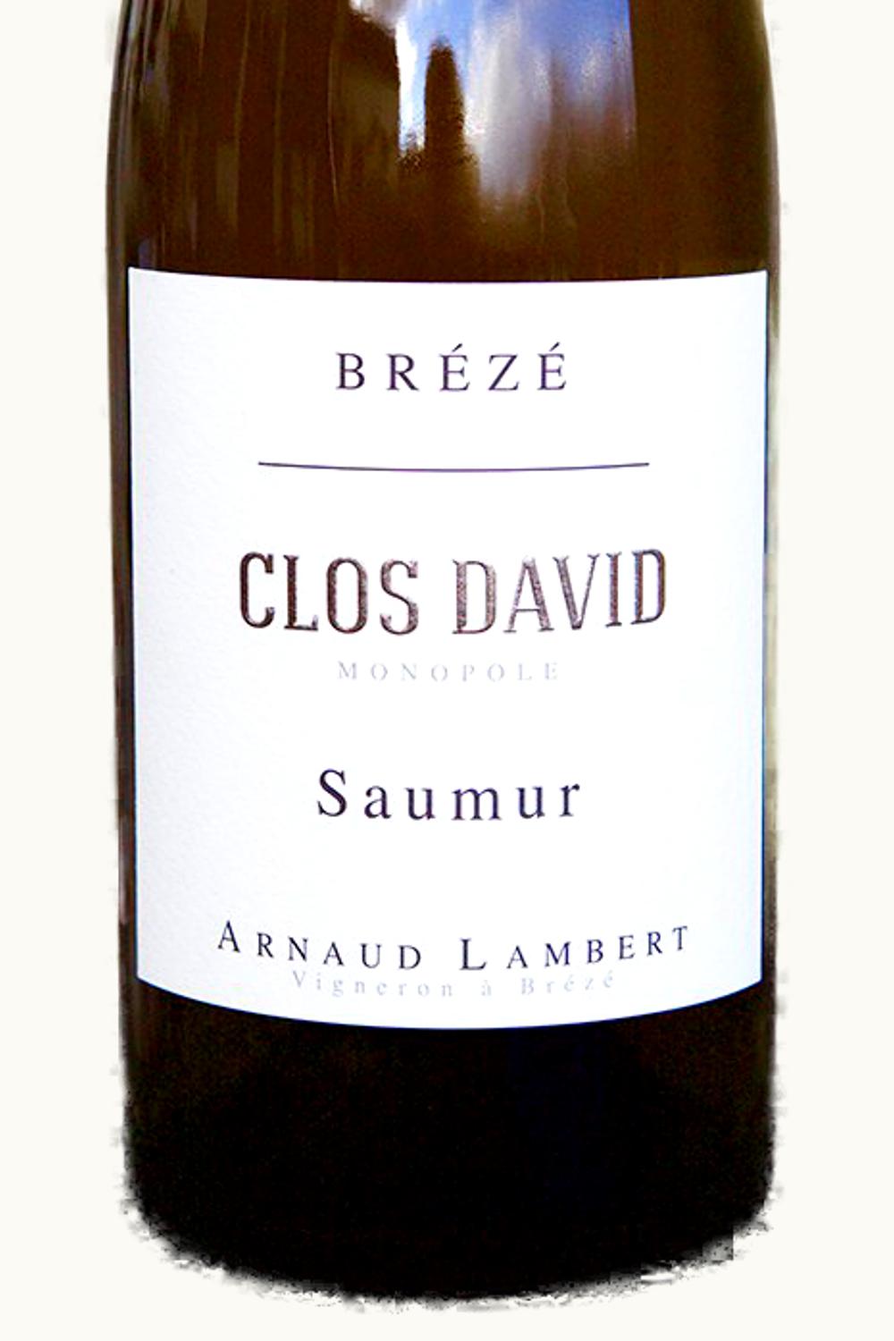 Arnaud Lambert Arnaud Lambert Breeze Clos David Saumur Blanc, 2020