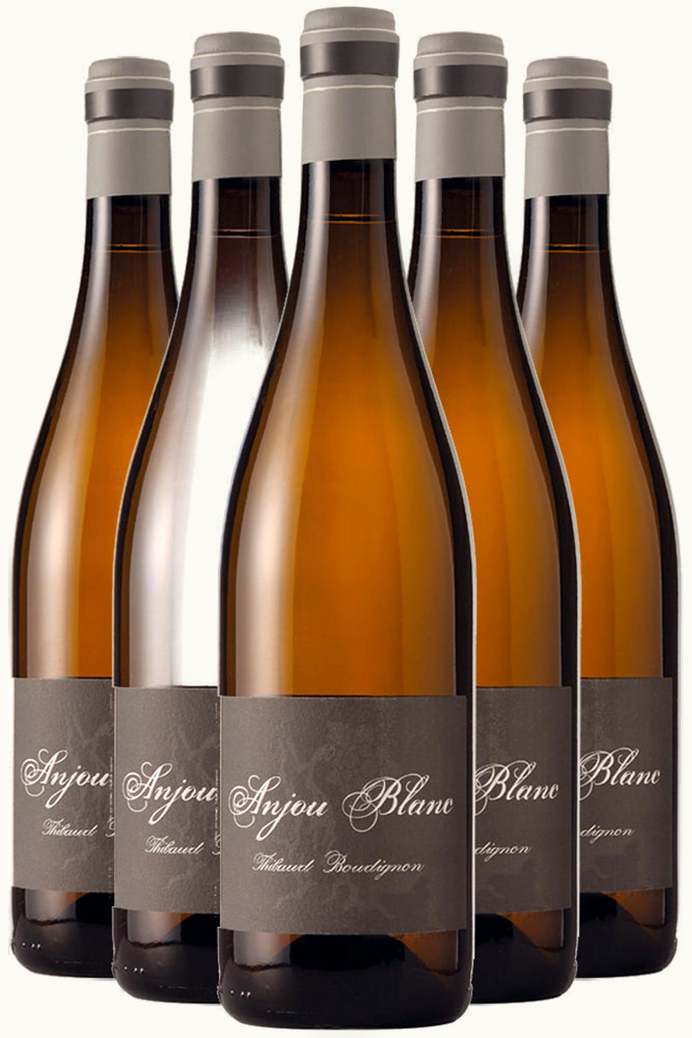 Thibaud Boudignon Thibaud Boudignon Blanc Anjou, 2019