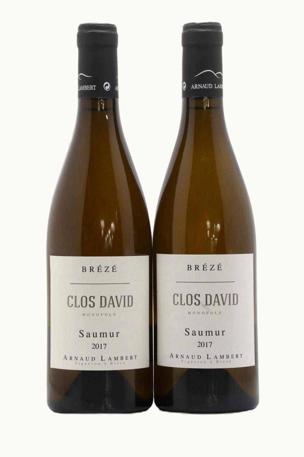 Arnaud Lambert Arnaud Lambert Breeze Clos David Saumur Blanc, 2017