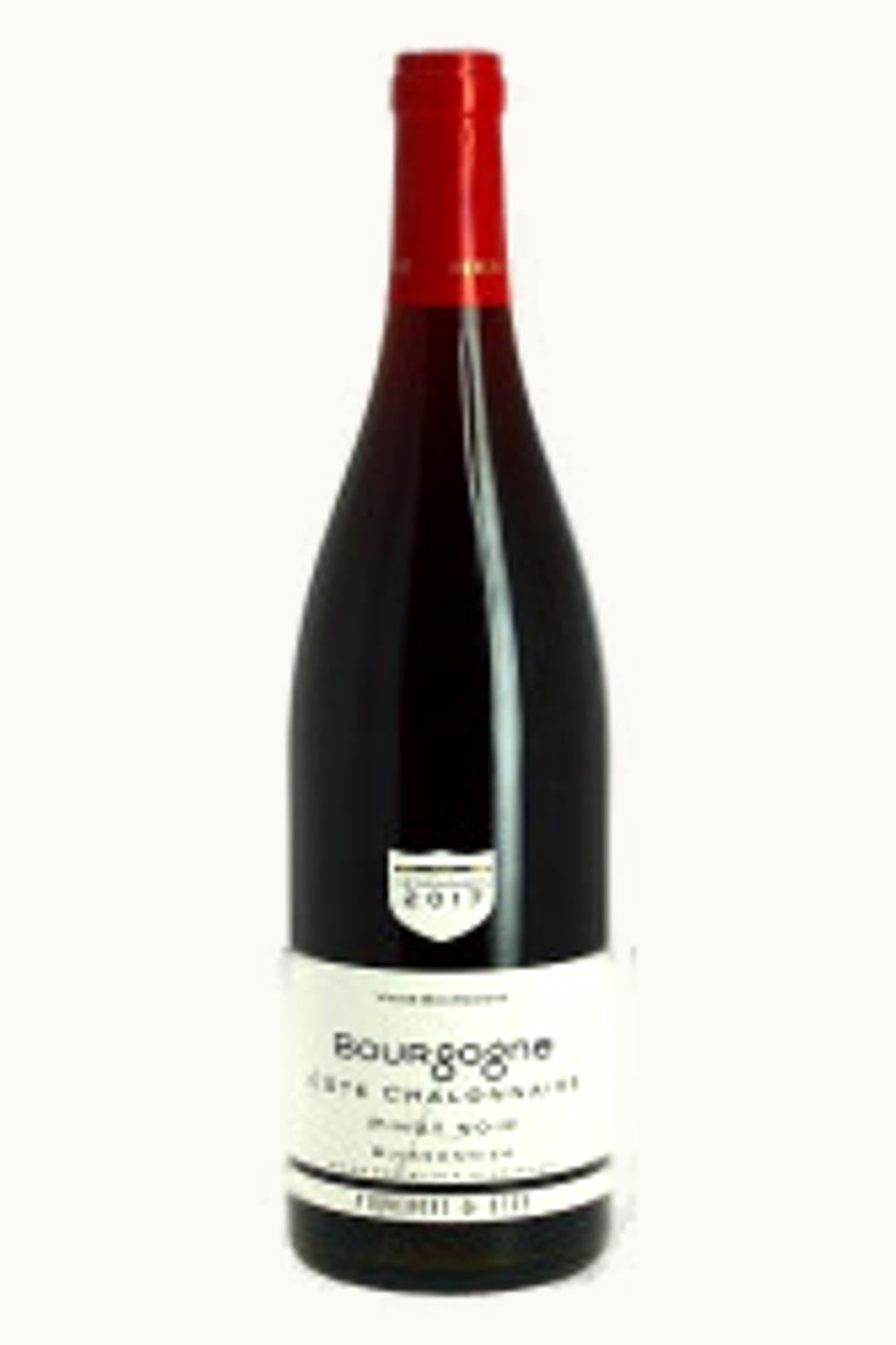 Philip Aliet Philip Aliet Coteaux de Noir Chinon, 2016