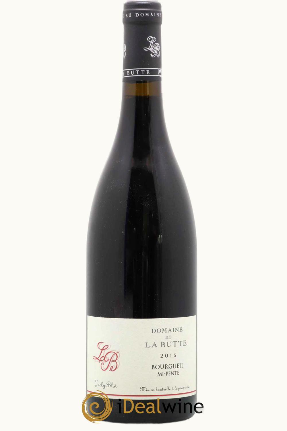 Jacky Blot Jacky Blot Dom de la Butte Mio Pente Bourgueil, 2016