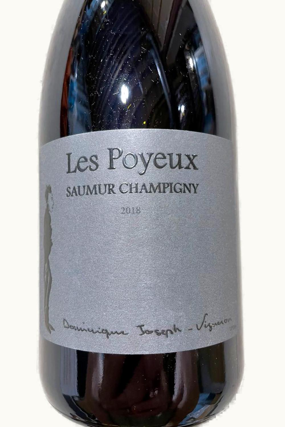 Le Petit St Vincent Le Petit St VIncent Les Poyeux Saumur-Champigny Anjou Loire, 2012