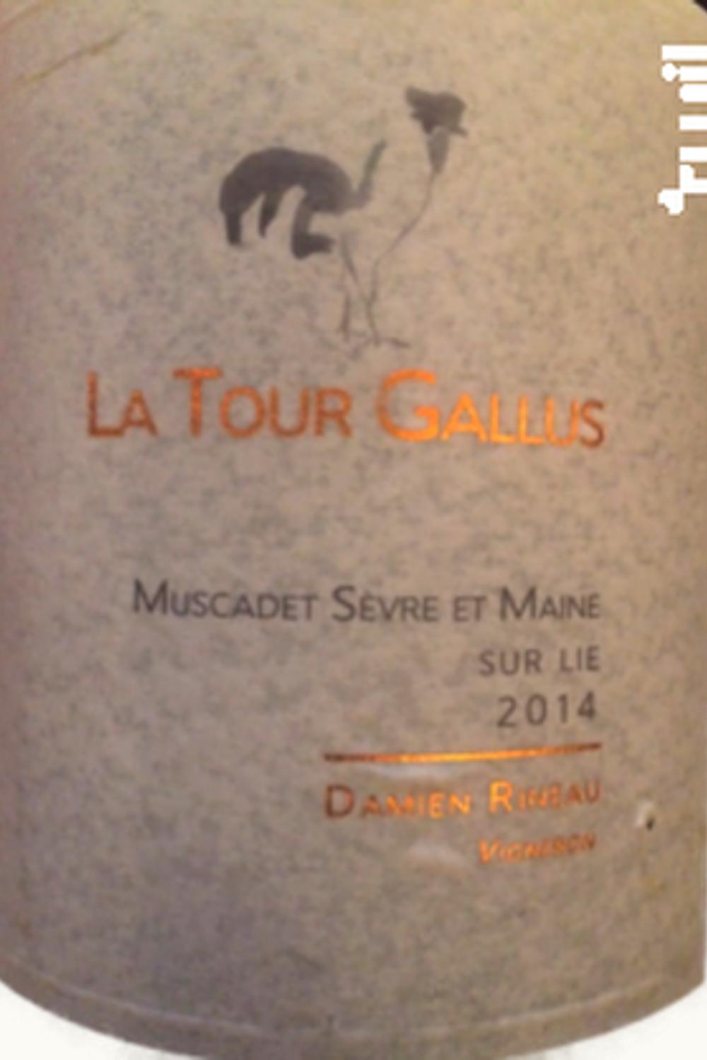 Damiens Rineau Damiens Rineau La Tour Galius Muscadet Sèvre et Maine Gorge Cru Pays Nantais Loire, 2009