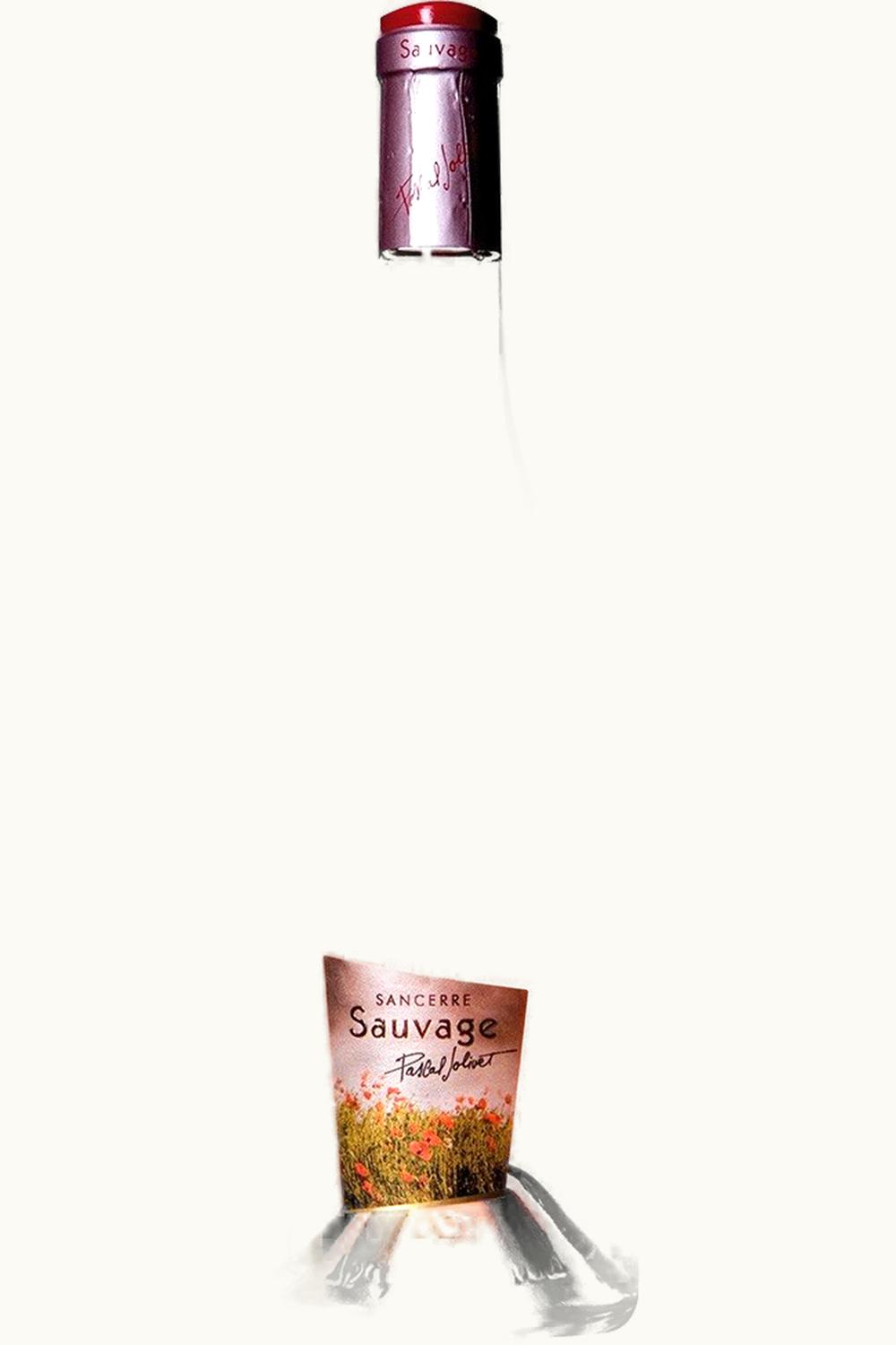 Pascal Jolivet Pascal Jolivet Sauvage Rosé Sancerre Upper Loire, 2009