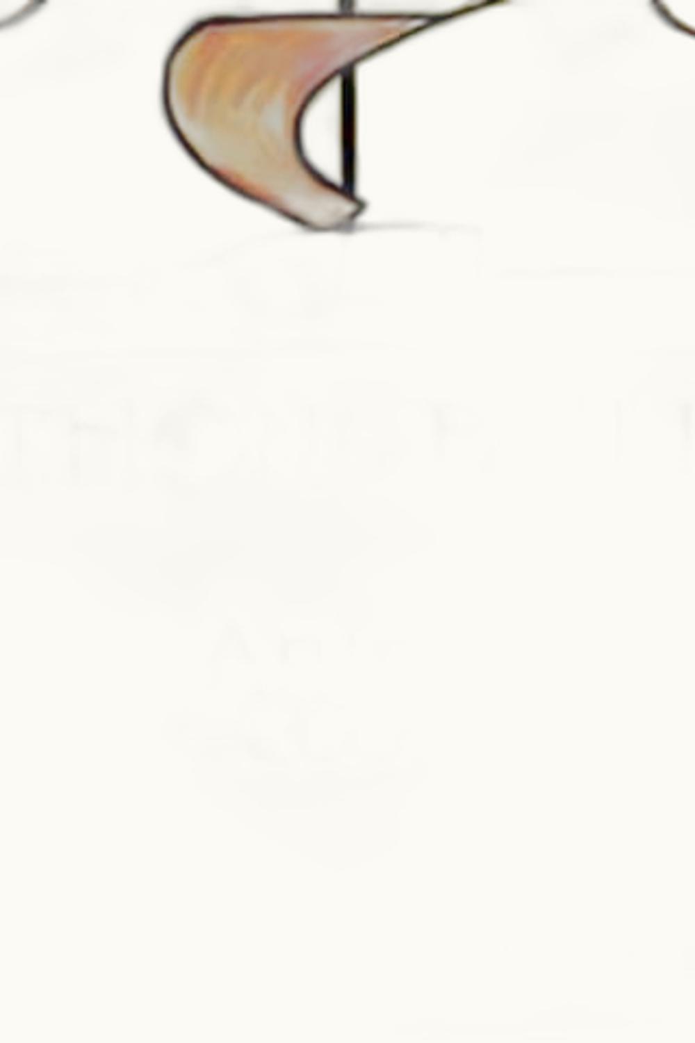 Pithon Paille Pithon Paille Blanc Anjou Loire, 2008